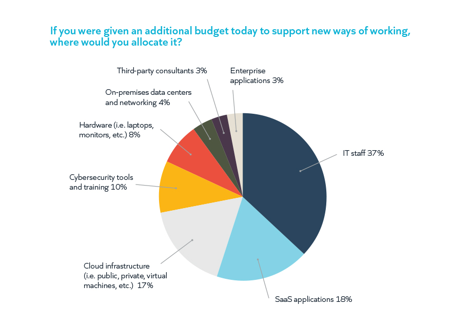 If you were given an additional budget today to support new ways of working, where would you allocate it? - Snow Survey