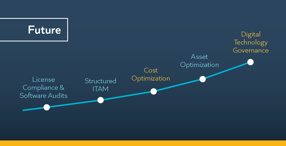 SAM/ITAM Maturity Curve